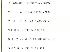 专利证书三